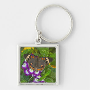 Black Swallowtail Key Ring