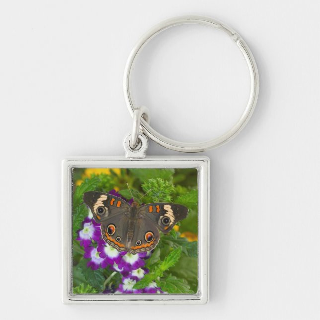 Black Swallowtail Key Ring (Front)