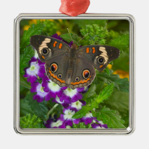 Black Swallowtail Metal Ornament