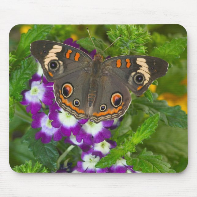 Black Swallowtail Mouse Pad (Front)