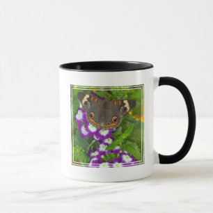 Black Swallowtail Mug