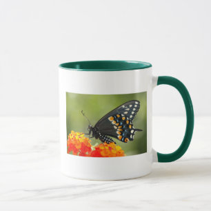 Black swallowtail mug