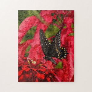 Black swallowtail on red flower puzzle
