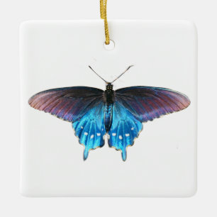 Black Swallowtail on the New River Ceramic Ornament
