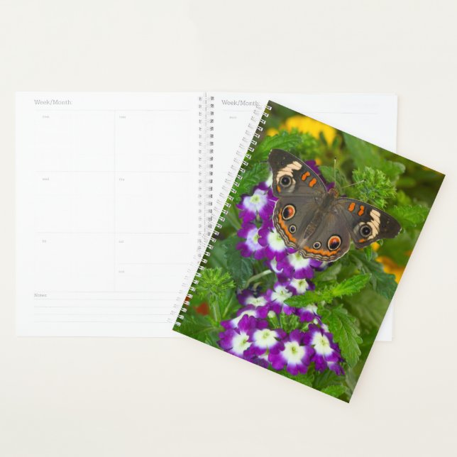 Black Swallowtail Planner (Display)