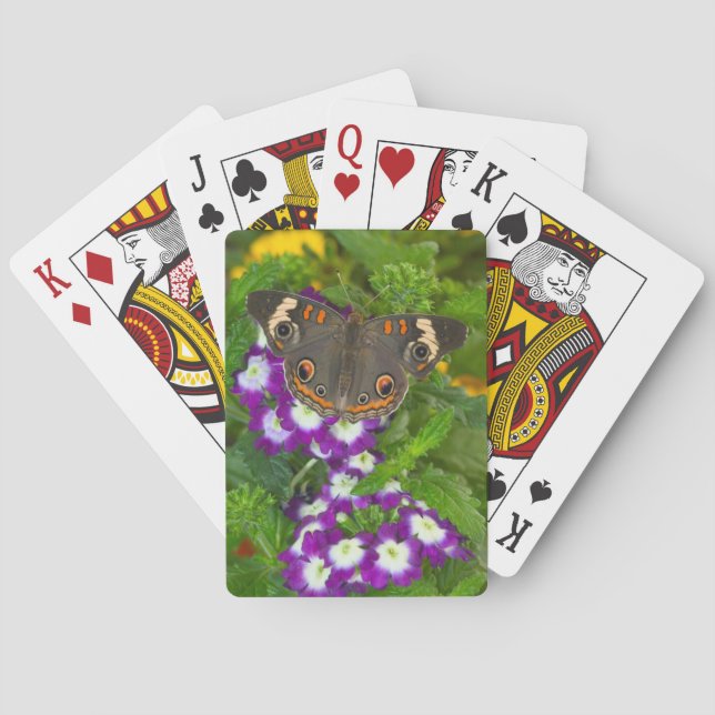 Black Swallowtail Playing Cards (Back)