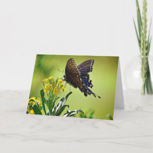 Black Swallowtail Scripture Card  Psalm 119:103