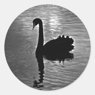 Black Swan - Australian Native Animal Classic Round Sticker