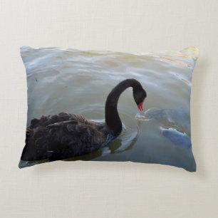 Black Swan Being Attacked By Fish, Decorative Cushion