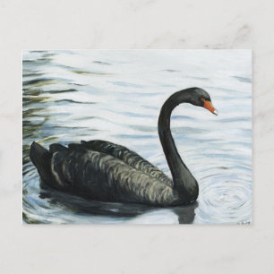 "Black Swan" Bird Art Reproduction Postcard
