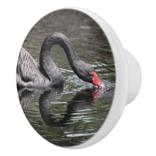 Black Swan Ceramic Knob