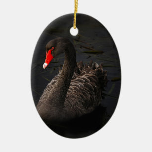 Black Swan Ceramic Ornament