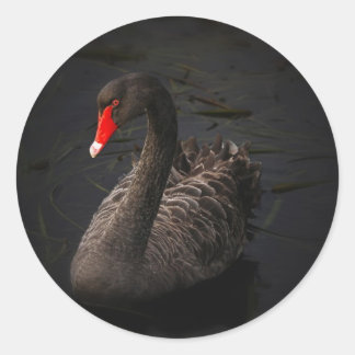Black Swan Classic Round Sticker