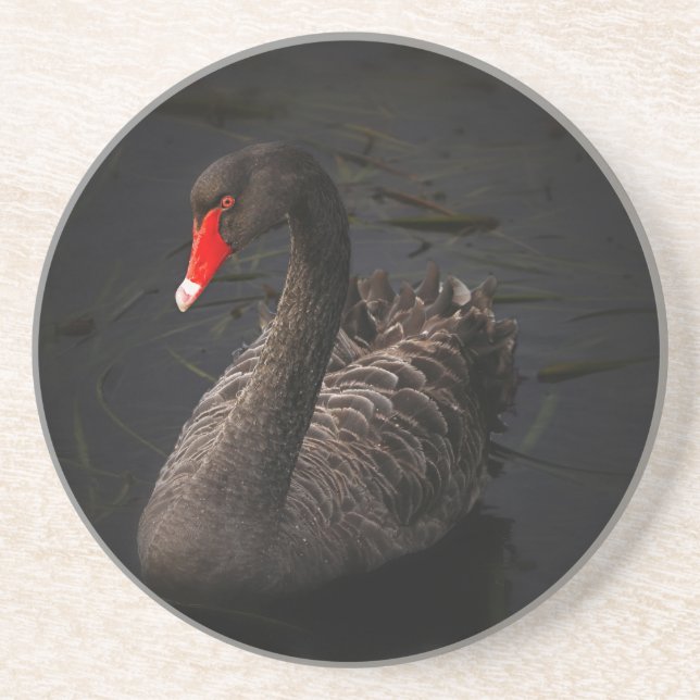 Black Swan Coaster (Front)