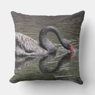 Black Swan Cushion