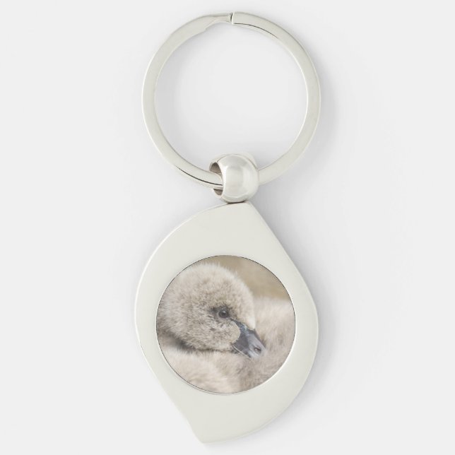Black Swan Cygnet Key Ring (Front)