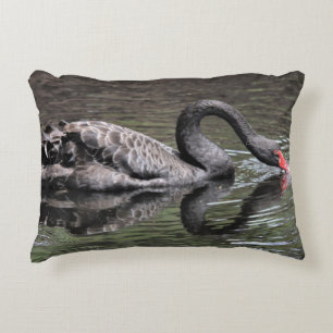 Black Swan Decorative Cushion