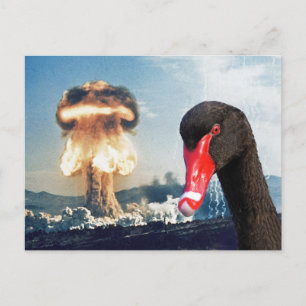 Black Swan Disaster Postcard
