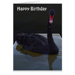 Black Swan Droplets In Pond,  Birthday Card