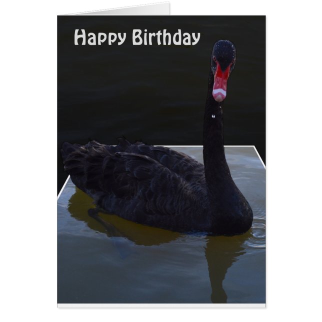 Black Swan Droplets In Pond,  Birthday Card (Front)