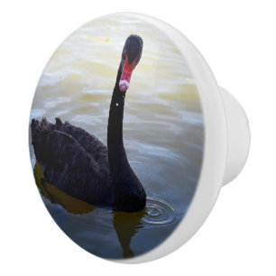 Black Swan Droplets In The Pond, Ceramic Knob