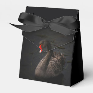 Black Swan Favour Box