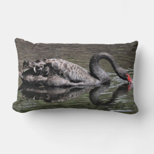 Black Swan Lumbar Cushion