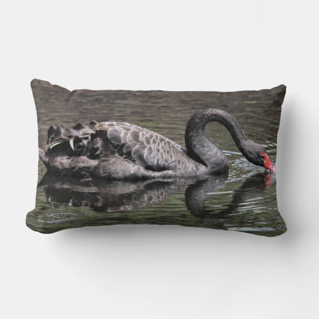 Black Swan Lumbar Cushion (Front)
