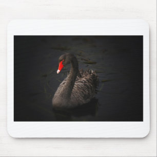 Black Swan Mouse Pad