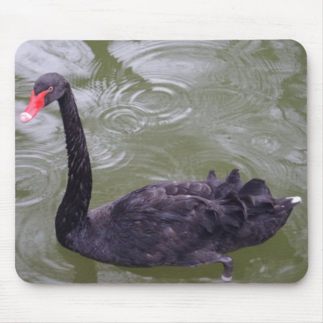 Black Swan Mousepad (Front)