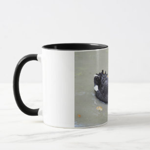 Black swan mug