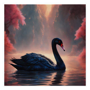 Black Swan no 5 Glossy Poster