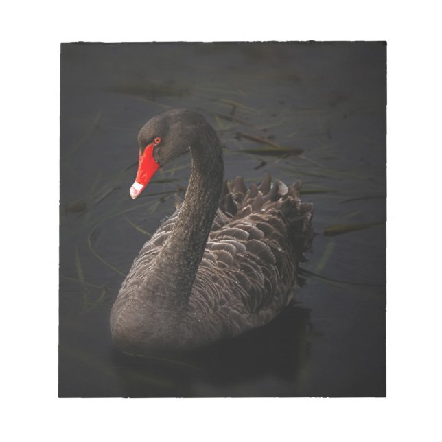 Black Swan Notepad (Front)