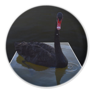 Black Swan Popout Art, Ceramic Knob