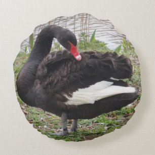 Black Swan Round Pillow