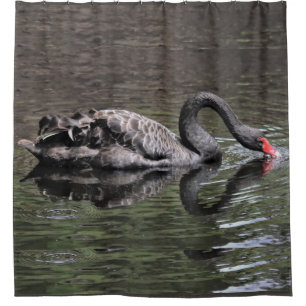 Black Swan Shower Curtain