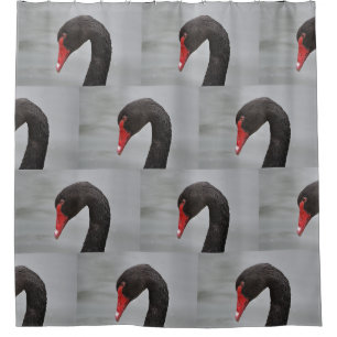 Black Swan Shower Curtain