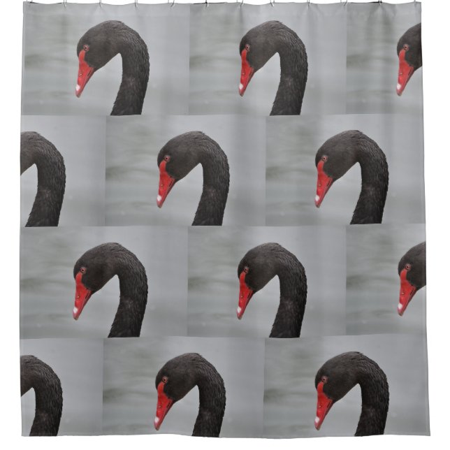 Black Swan Shower Curtain (Front)