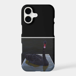 Black Swan Swimming In Dimensional Pond,