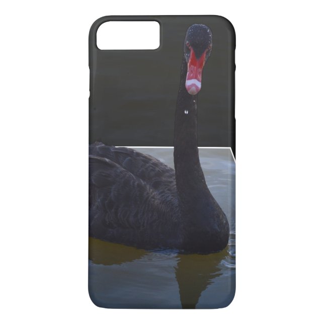Black Swan Swimming In Dimensional Pond, Case-Mate iPhone Case (Back)