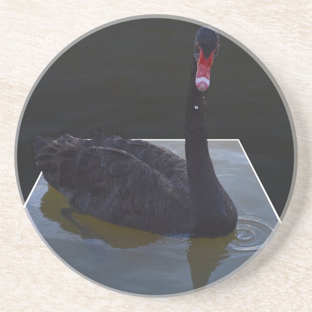Black Swan Swimming In Dimensional Pond, Coaster (Front)