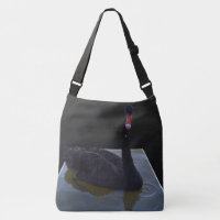 Black Swan Swimming In Dimensional Pond,