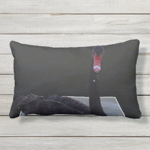 Black Swan Swimming In Dimensional Pond, Outdoor Cushion