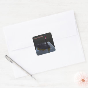 Black Swan Swimming In Dimensional Pond, Square Sticker