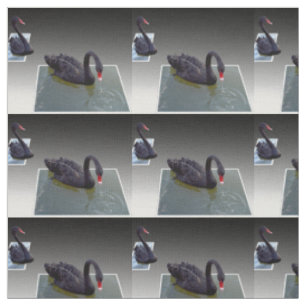 Black Swan Swimming In Dimensional Ponds, Fabric