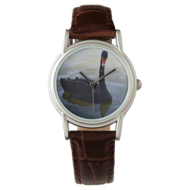 Black Swan Swimming On River Murray, Watch (Front)