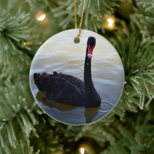 Black Swan Swimming On The River, Ceramic Ornament