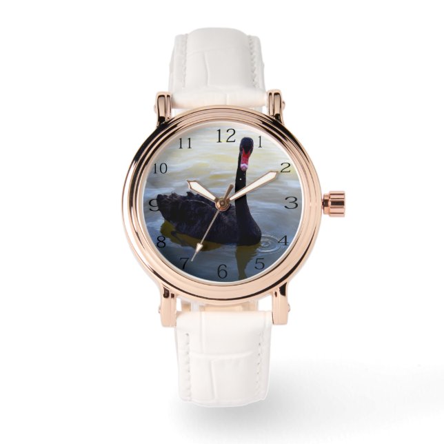 Black Swan Swimming On The River, Ladies Watch (Front)