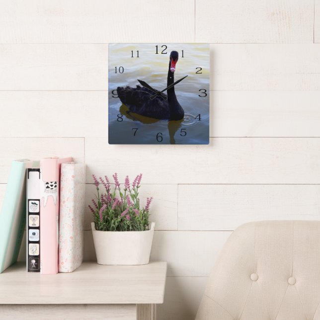 Black Swan Swimming On The River,  Square Wall Clock (Reading Room)