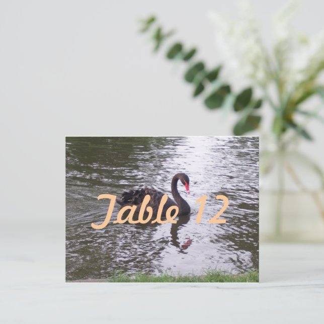 Black Swan Table Number Postcard (Standing Front)